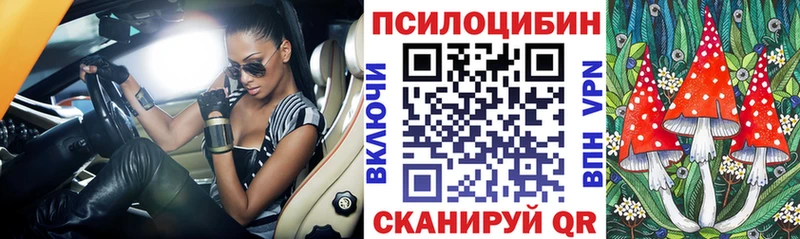 где продают   Ковров  Галлюциногенные грибы Cubensis 