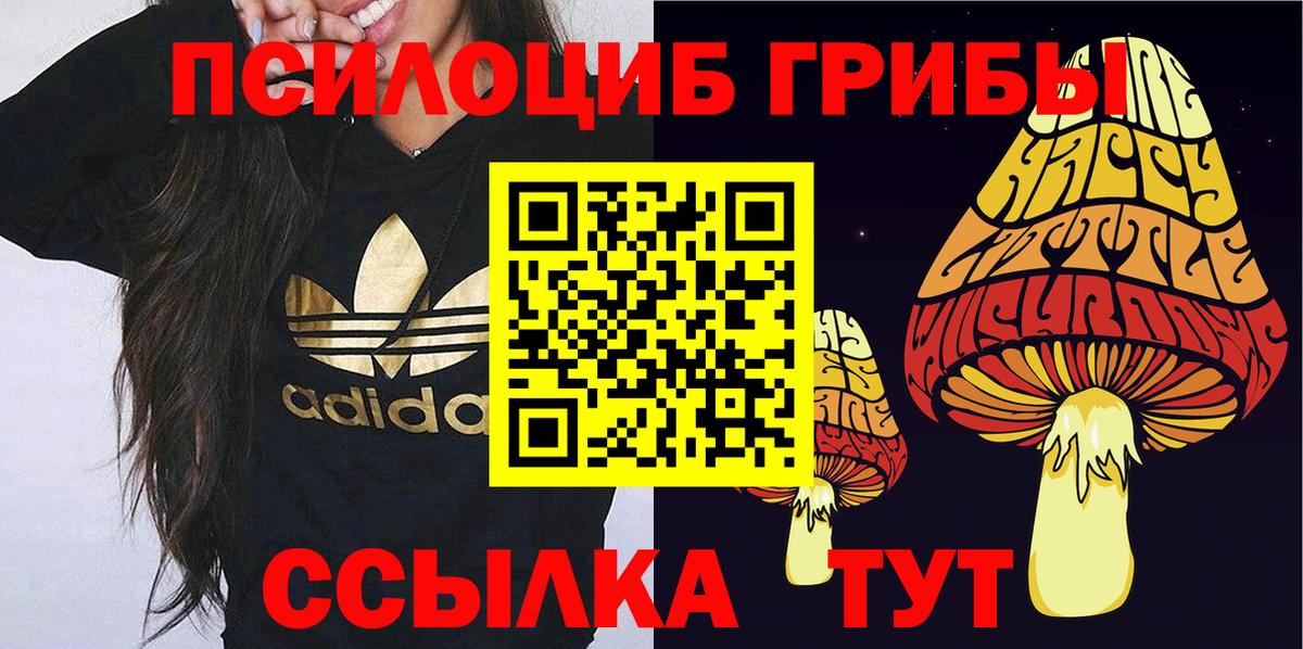 Псилоцибиновые грибы GOLDEN TEACHER Ковров