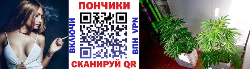 Канабис Bruce Banner Ковров