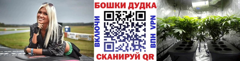 Бошки марихуана план  Ковров 
